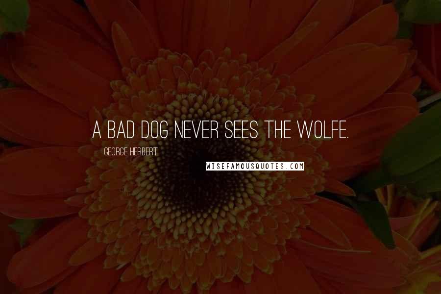 George Herbert Quotes: A bad dog never sees the Wolfe.