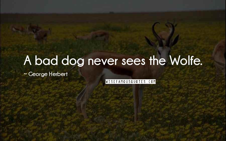 George Herbert Quotes: A bad dog never sees the Wolfe.