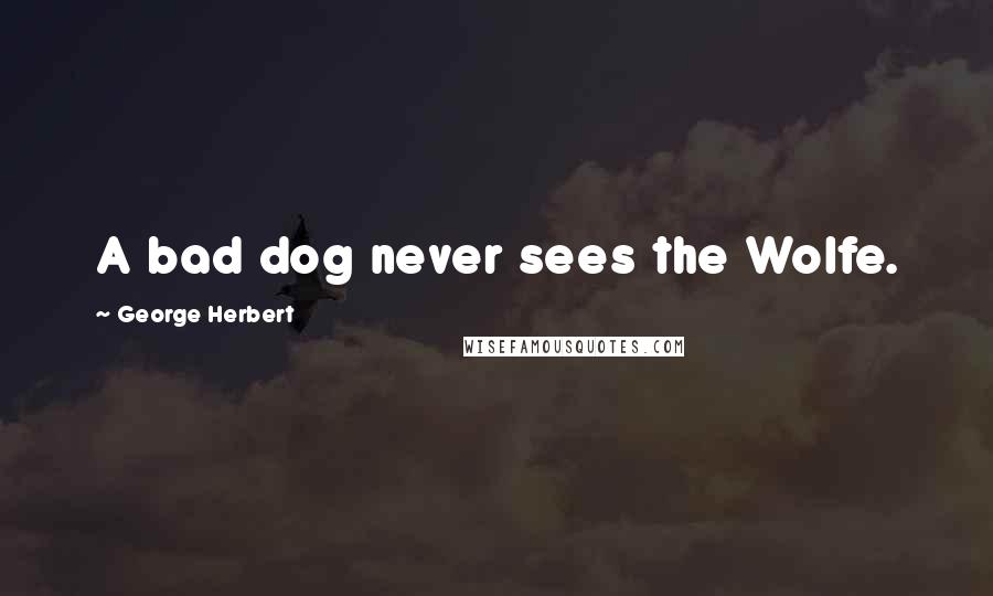 George Herbert Quotes: A bad dog never sees the Wolfe.