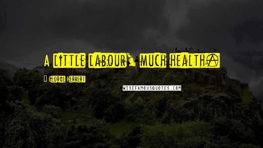 George Herbert Quotes: A little labour, much health.