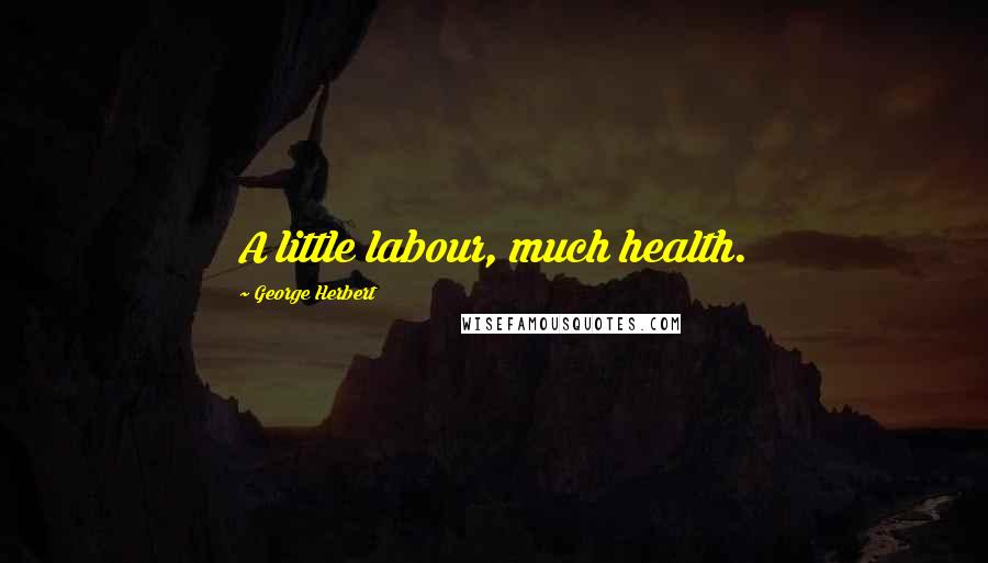 George Herbert Quotes: A little labour, much health.