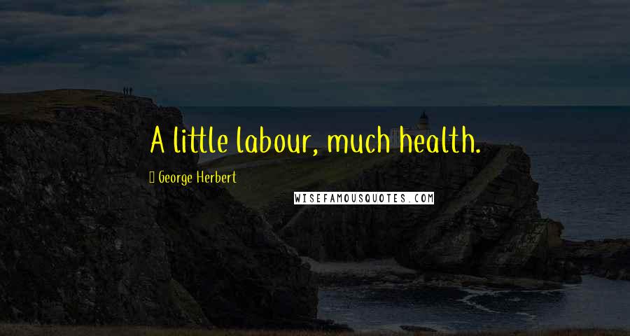 George Herbert Quotes: A little labour, much health.