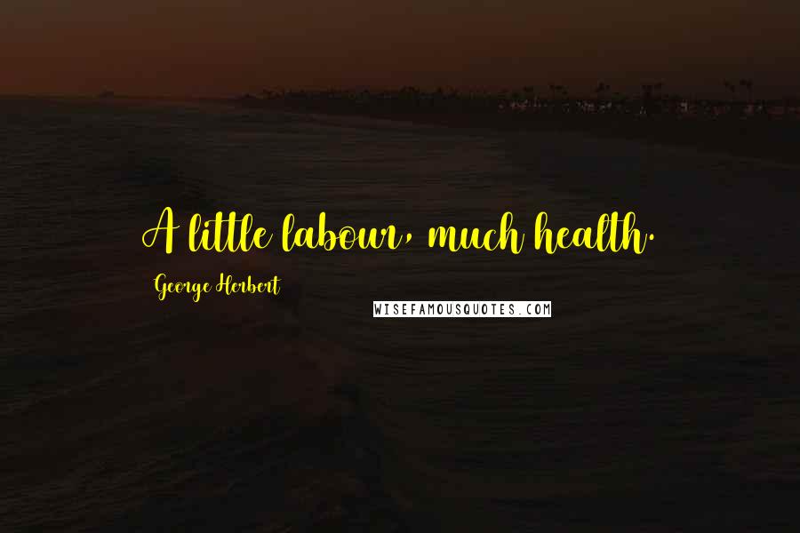 George Herbert Quotes: A little labour, much health.