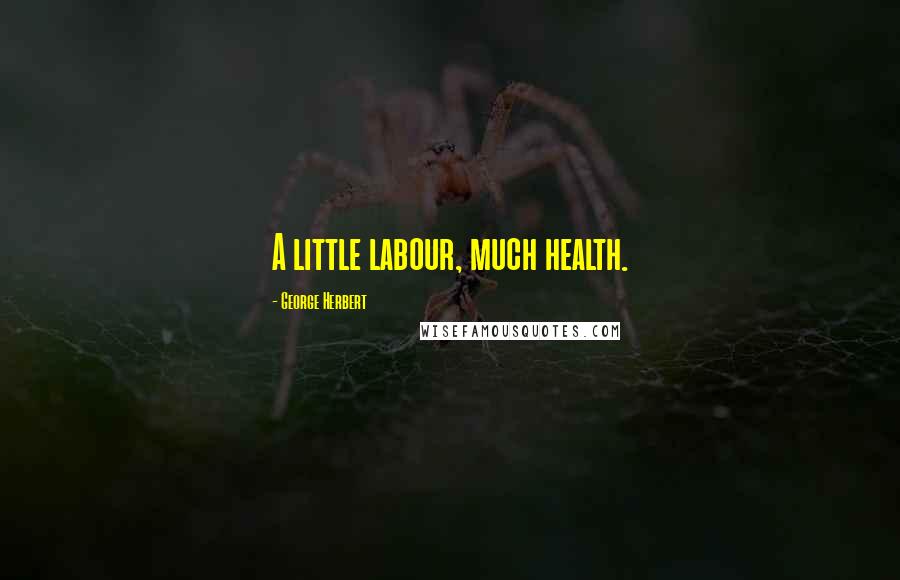 George Herbert Quotes: A little labour, much health.