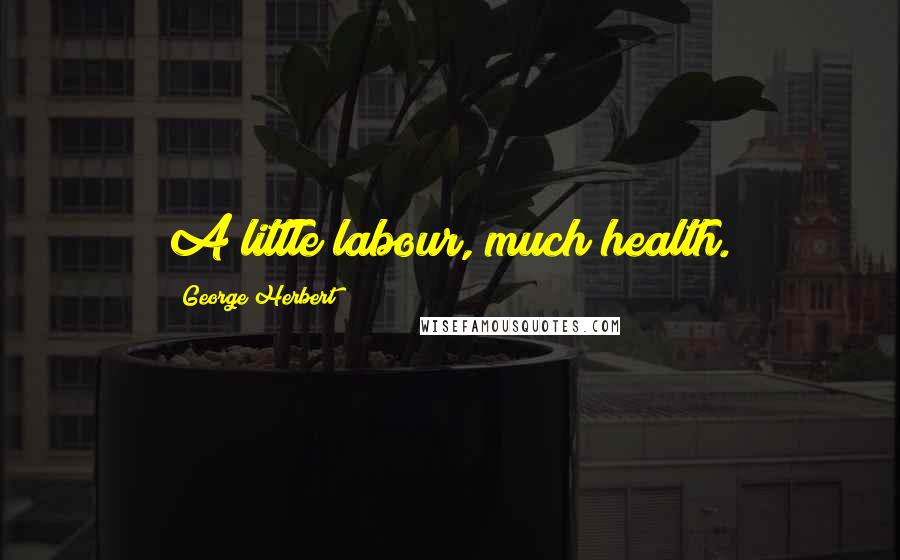 George Herbert Quotes: A little labour, much health.