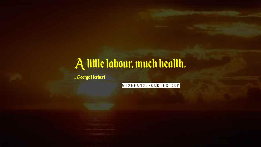 George Herbert Quotes: A little labour, much health.