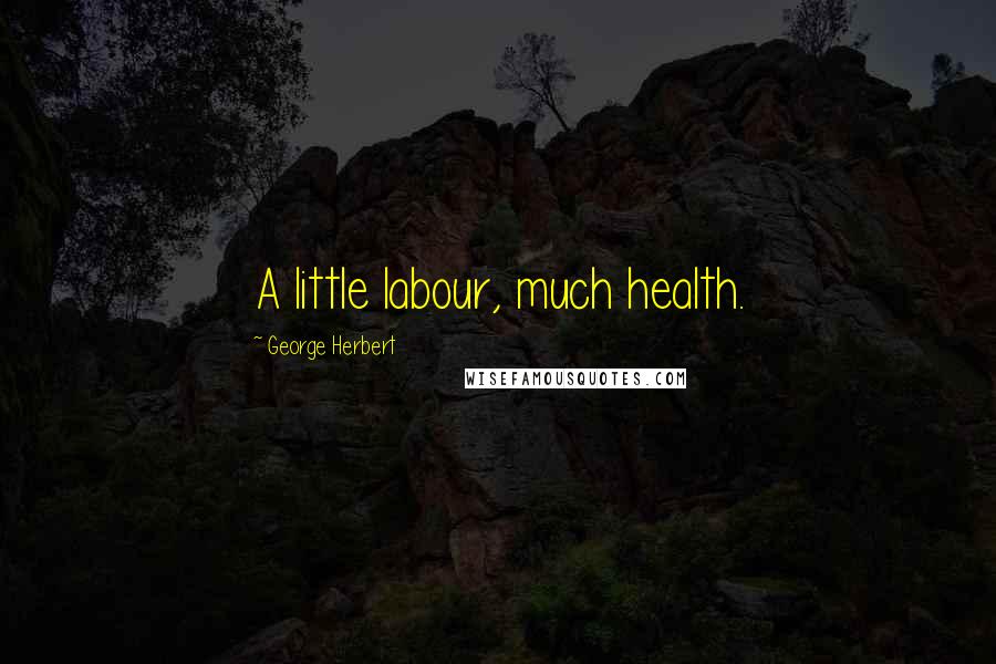 George Herbert Quotes: A little labour, much health.