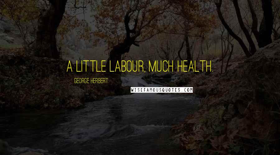 George Herbert Quotes: A little labour, much health.