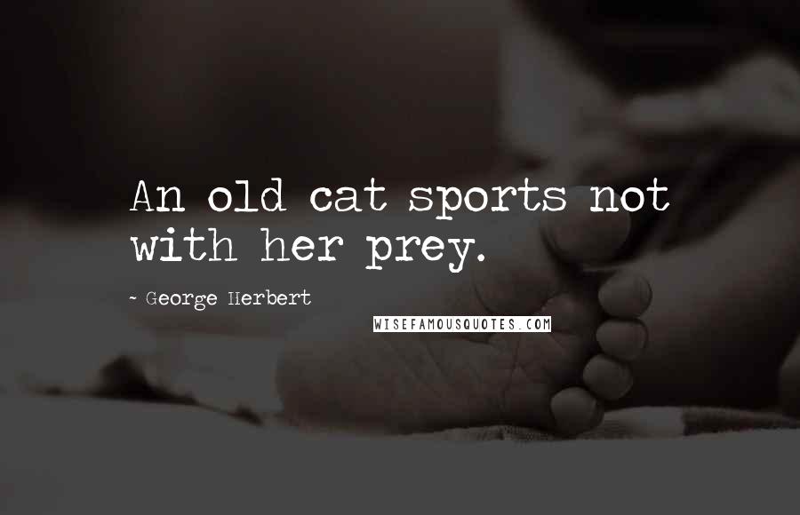 George Herbert Quotes: An old cat sports not with her prey.