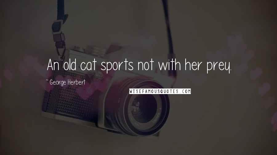 George Herbert Quotes: An old cat sports not with her prey.