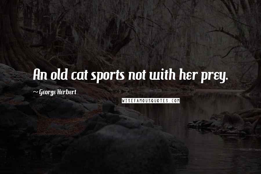 George Herbert Quotes: An old cat sports not with her prey.