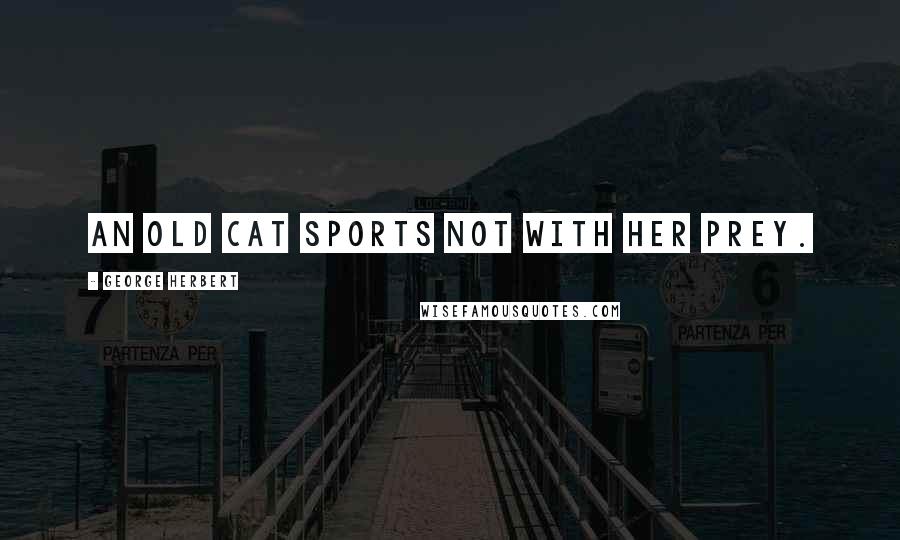 George Herbert Quotes: An old cat sports not with her prey.
