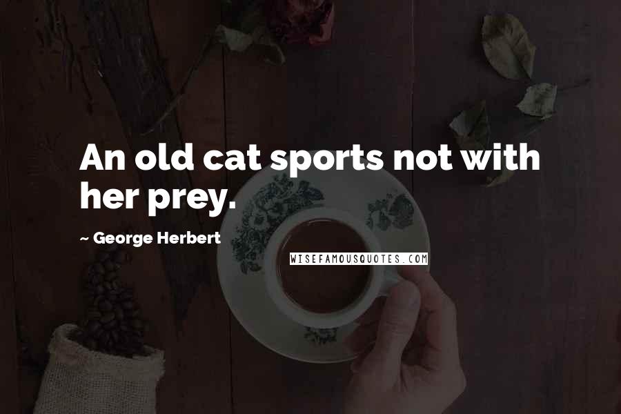 George Herbert Quotes: An old cat sports not with her prey.