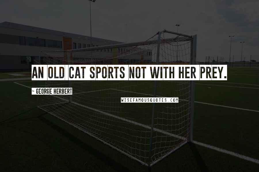 George Herbert Quotes: An old cat sports not with her prey.
