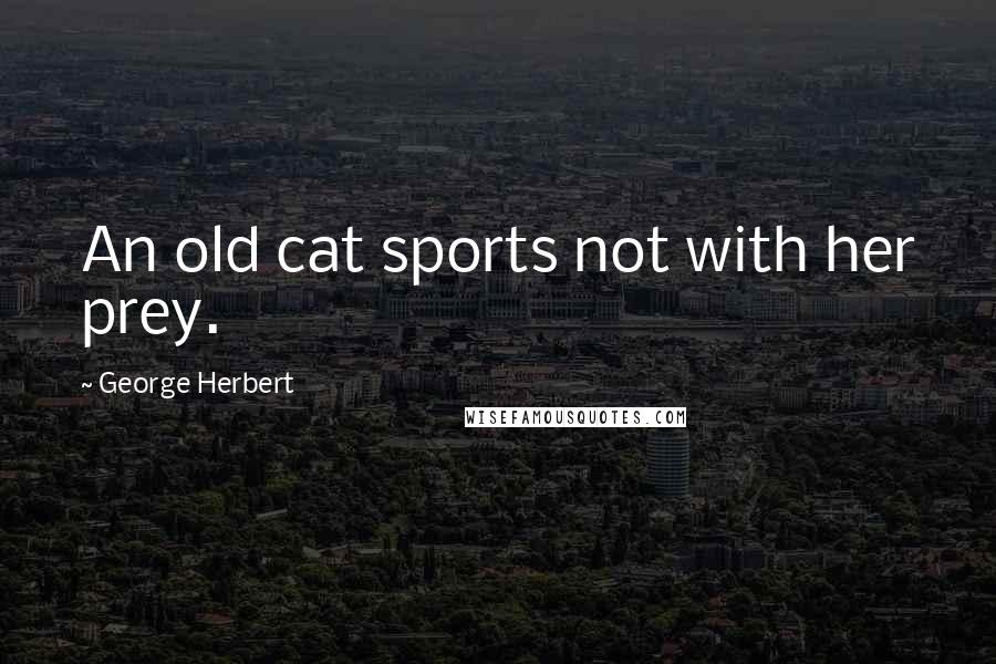 George Herbert Quotes: An old cat sports not with her prey.