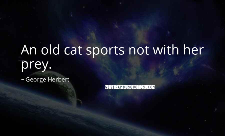 George Herbert Quotes: An old cat sports not with her prey.