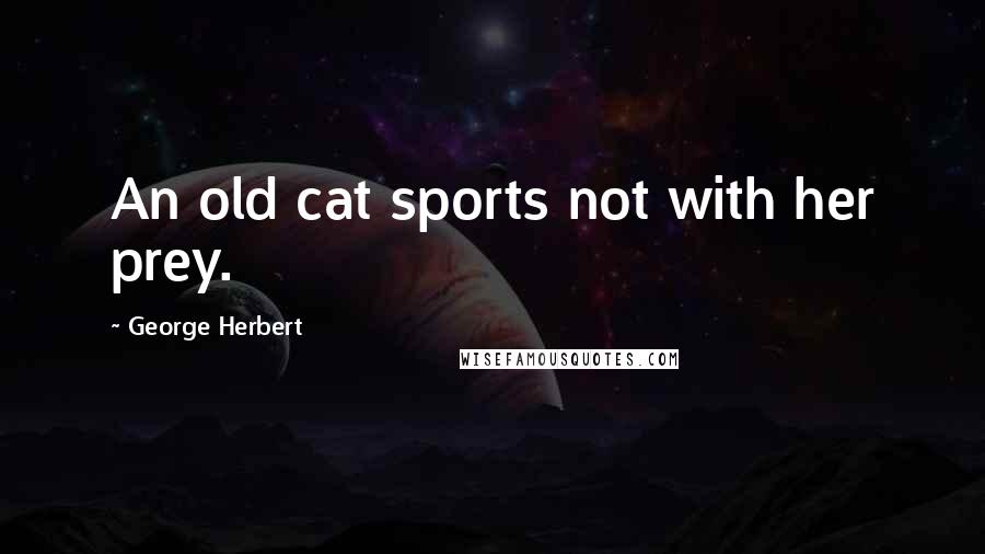George Herbert Quotes: An old cat sports not with her prey.