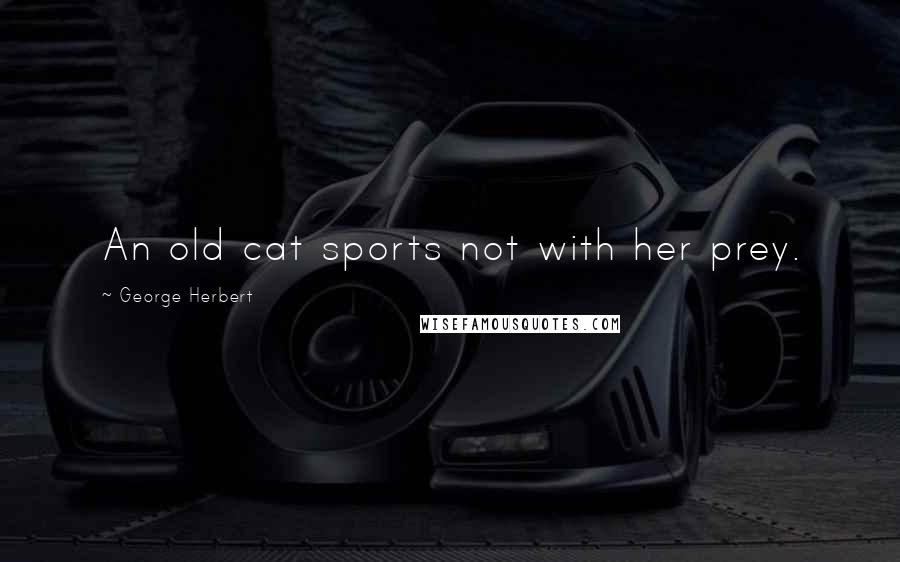 George Herbert Quotes: An old cat sports not with her prey.