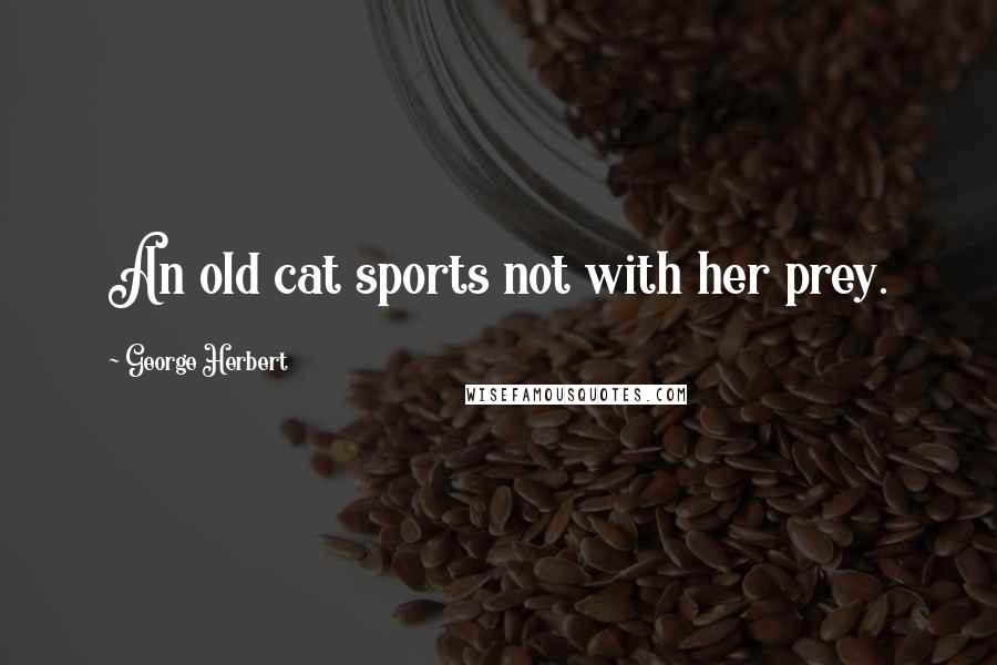 George Herbert Quotes: An old cat sports not with her prey.