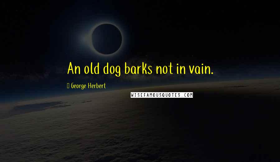 George Herbert Quotes: An old dog barks not in vain.