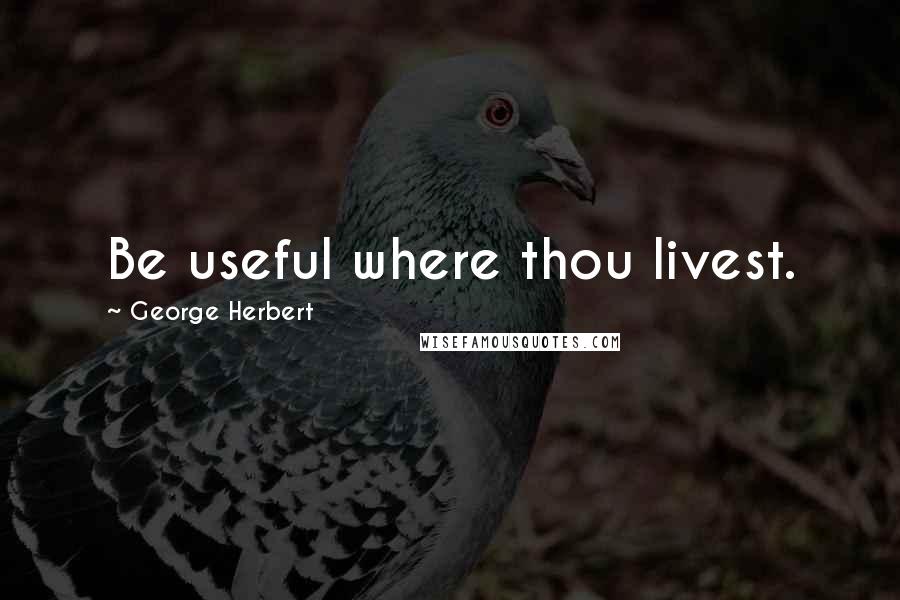 George Herbert Quotes: Be useful where thou livest.