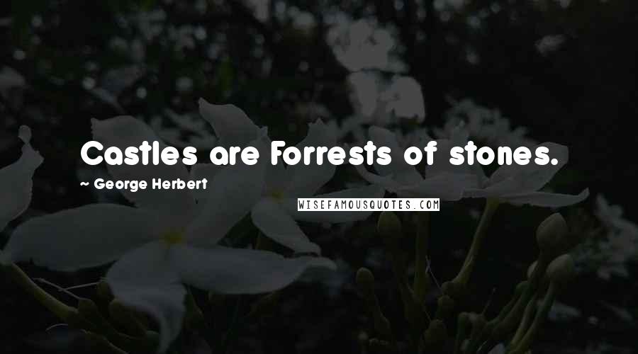 George Herbert Quotes: Castles are Forrests of stones.