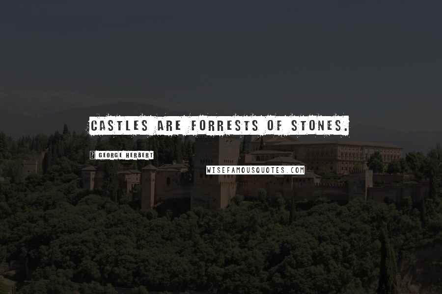 George Herbert Quotes: Castles are Forrests of stones.