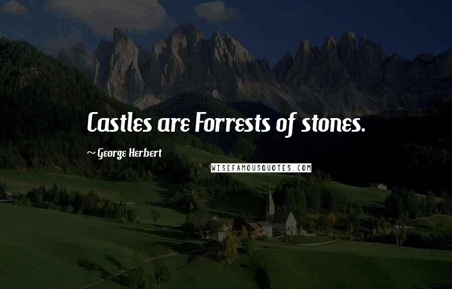 George Herbert Quotes: Castles are Forrests of stones.