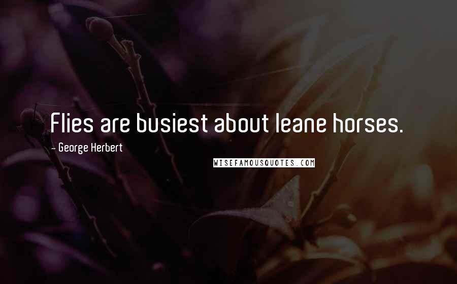 George Herbert Quotes: Flies are busiest about leane horses.