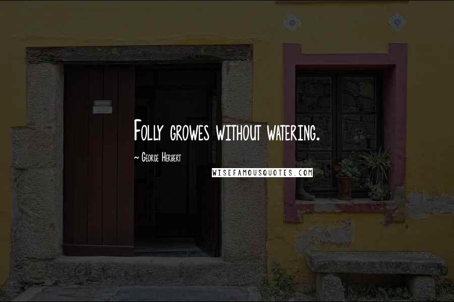 George Herbert Quotes: Folly growes without watering.