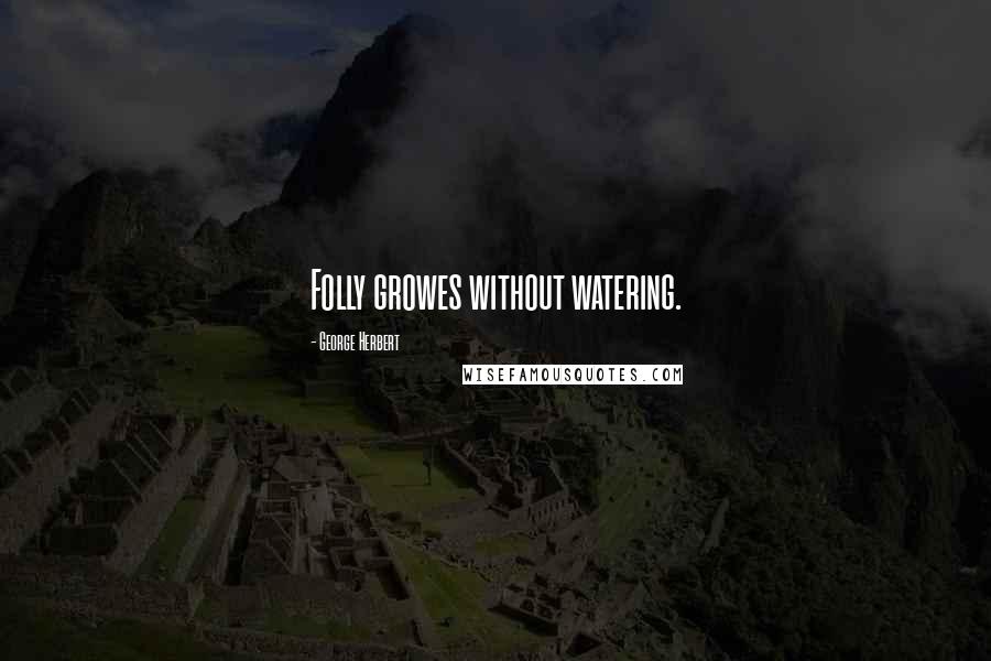 George Herbert Quotes: Folly growes without watering.
