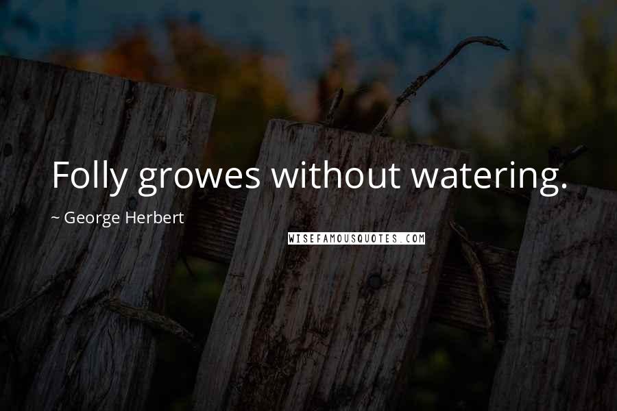 George Herbert Quotes: Folly growes without watering.