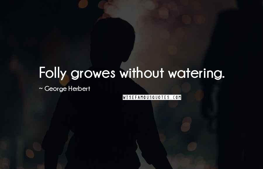 George Herbert Quotes: Folly growes without watering.