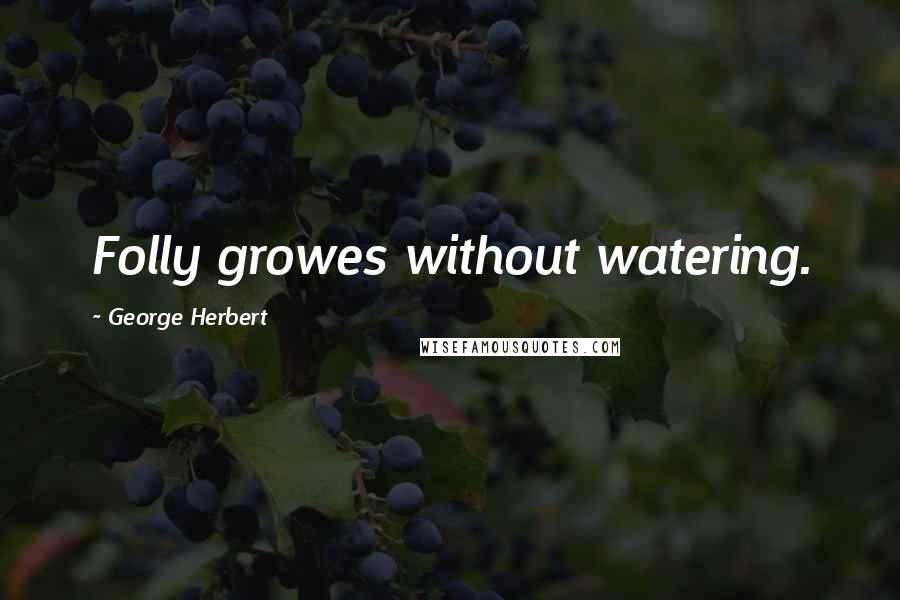 George Herbert Quotes: Folly growes without watering.