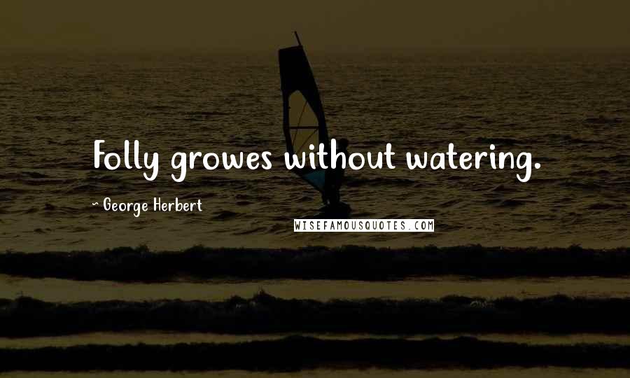 George Herbert Quotes: Folly growes without watering.