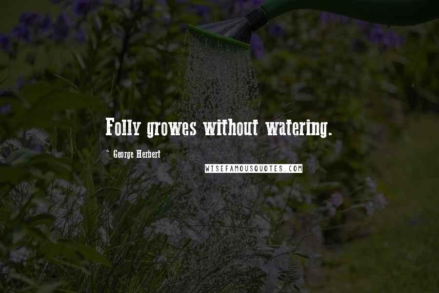 George Herbert Quotes: Folly growes without watering.