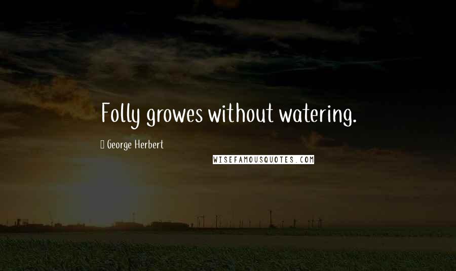 George Herbert Quotes: Folly growes without watering.