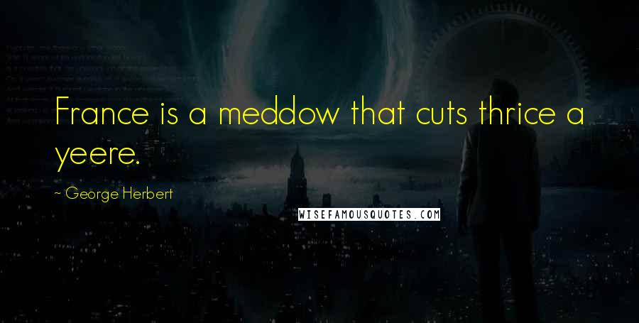 George Herbert Quotes: France is a meddow that cuts thrice a yeere.