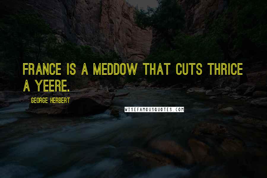 George Herbert Quotes: France is a meddow that cuts thrice a yeere.