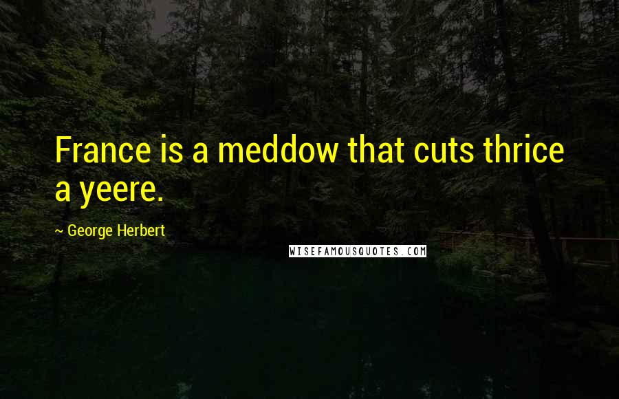 George Herbert Quotes: France is a meddow that cuts thrice a yeere.