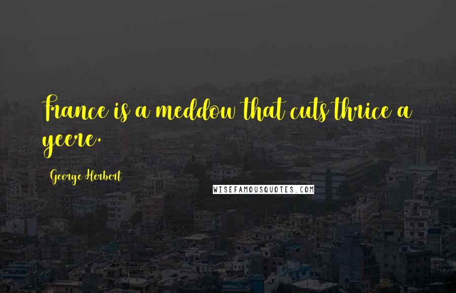 George Herbert Quotes: France is a meddow that cuts thrice a yeere.