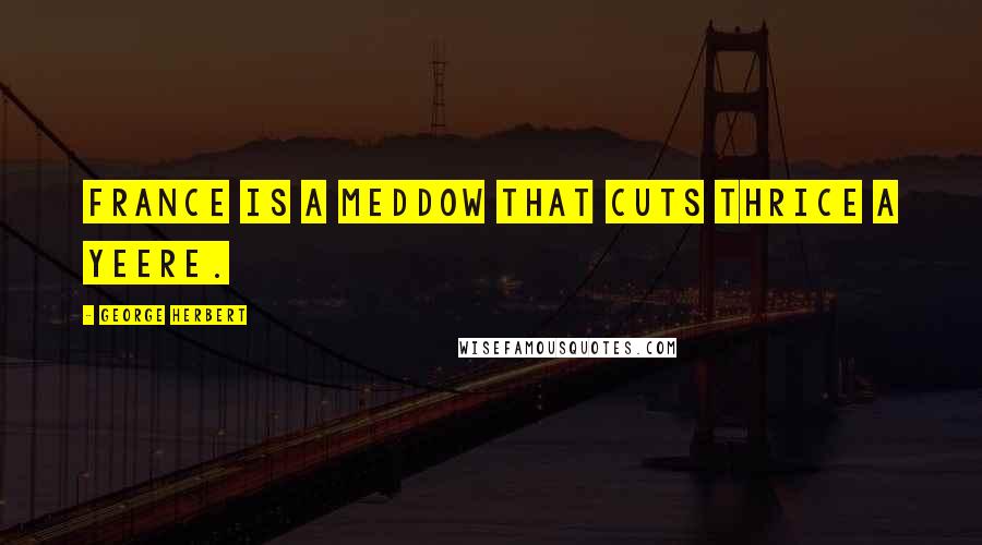 George Herbert Quotes: France is a meddow that cuts thrice a yeere.