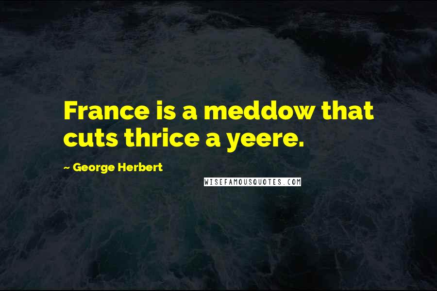 George Herbert Quotes: France is a meddow that cuts thrice a yeere.