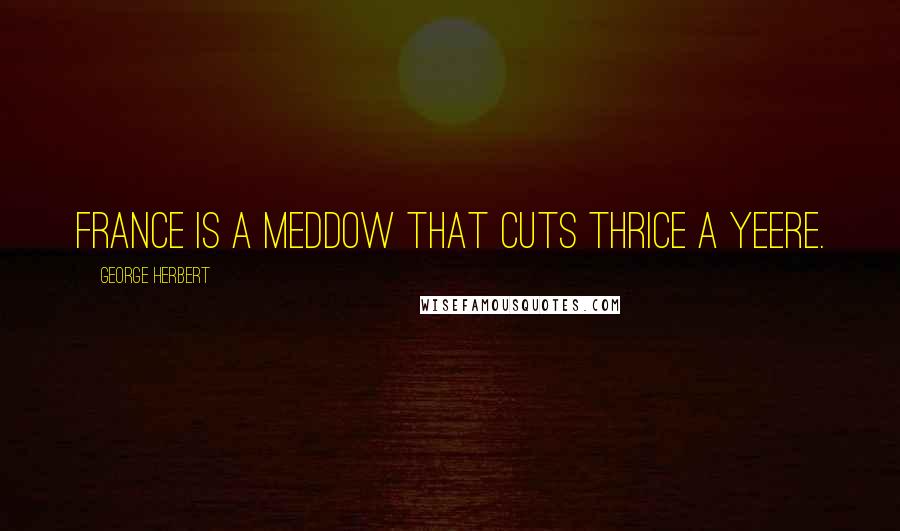 George Herbert Quotes: France is a meddow that cuts thrice a yeere.