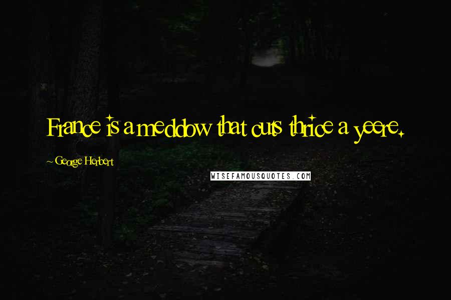 George Herbert Quotes: France is a meddow that cuts thrice a yeere.