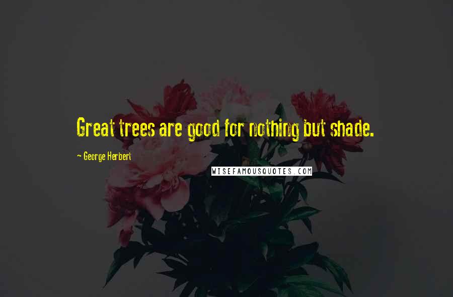 George Herbert Quotes: Great trees are good for nothing but shade.