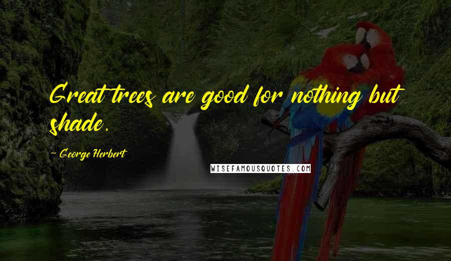 George Herbert Quotes: Great trees are good for nothing but shade.