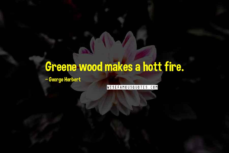 George Herbert Quotes: Greene wood makes a hott fire.