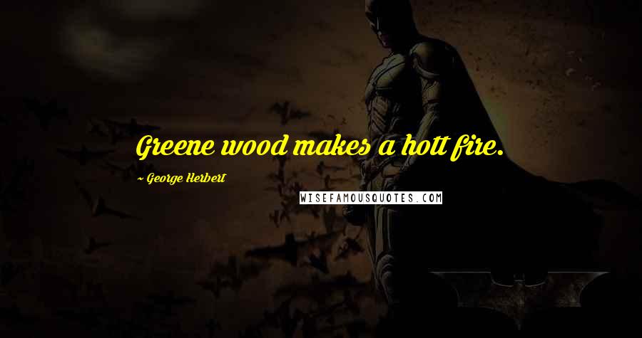 George Herbert Quotes: Greene wood makes a hott fire.