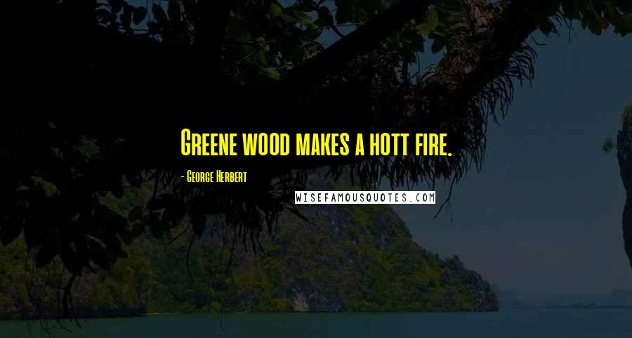 George Herbert Quotes: Greene wood makes a hott fire.